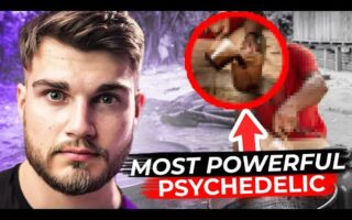 I Took One Of The World's Most Powerful Psychedelics (It Changed My Life)